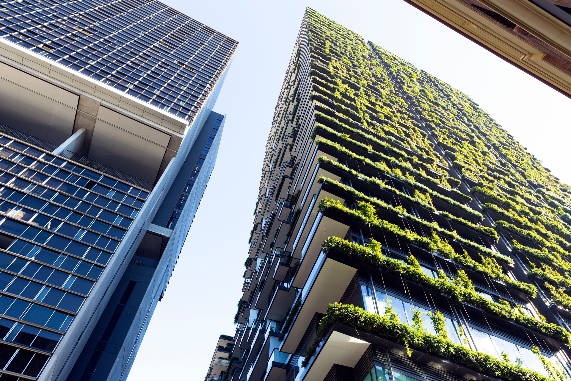 Vista de ángulo bajo del edificio del apartamento con jardín vertical, fondo con espacio de copia