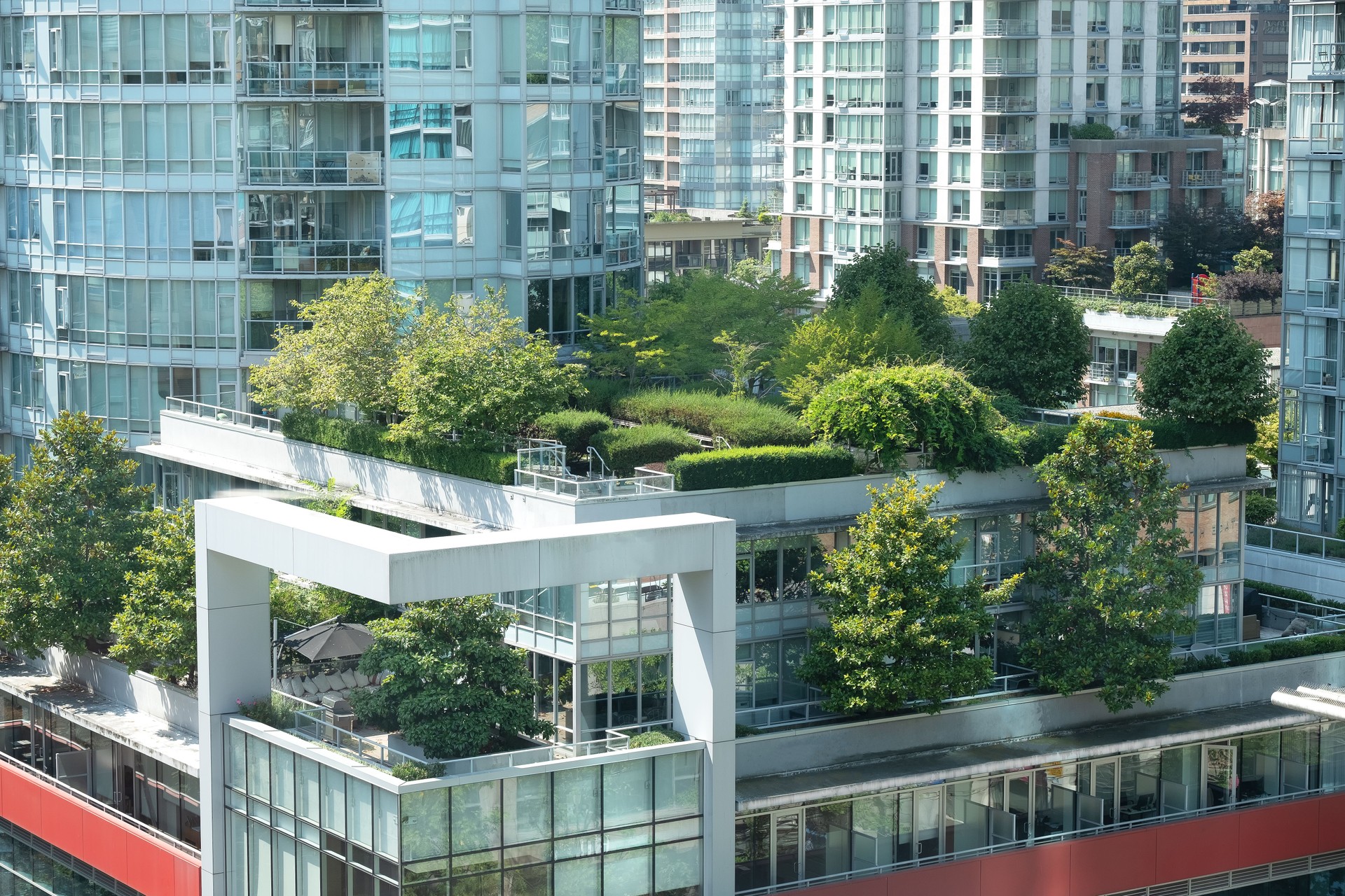 Green City, terraza en la azotea Jardines rodeados de modernos edificios de gran altura