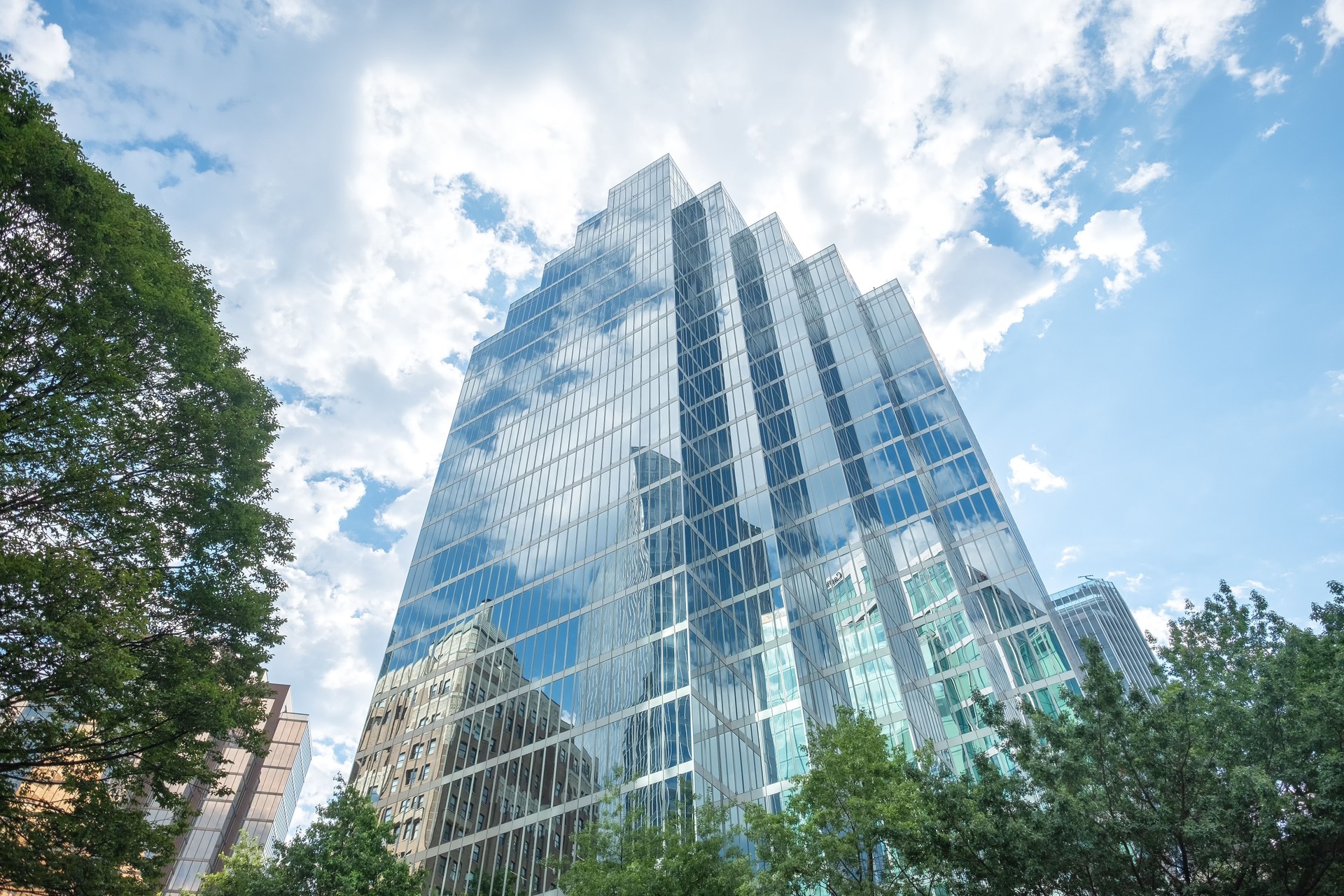 Modernos edificios de oficinas en Tree Lined Street Downtown